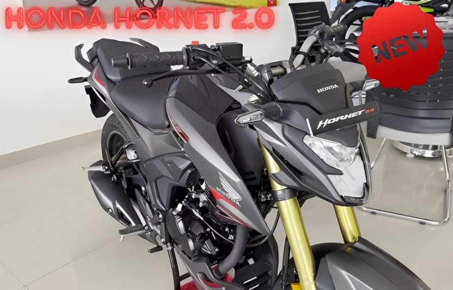 Honda Hornet 2.0